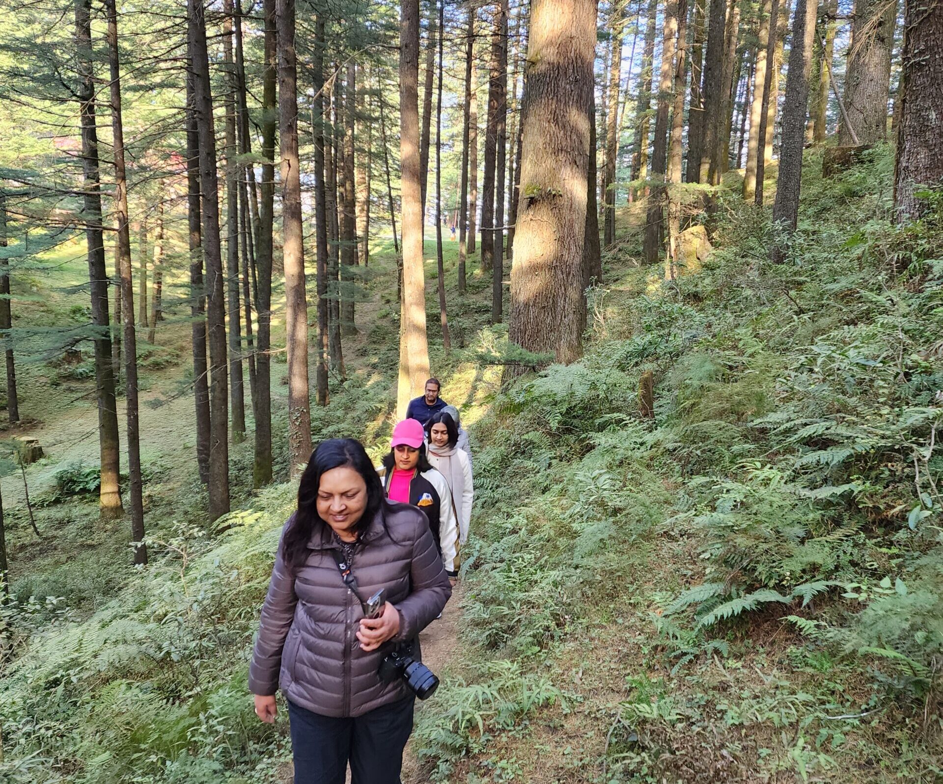 Tungesh Hike- Cheog (Shimla)